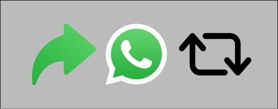 Representative Image Representative Image