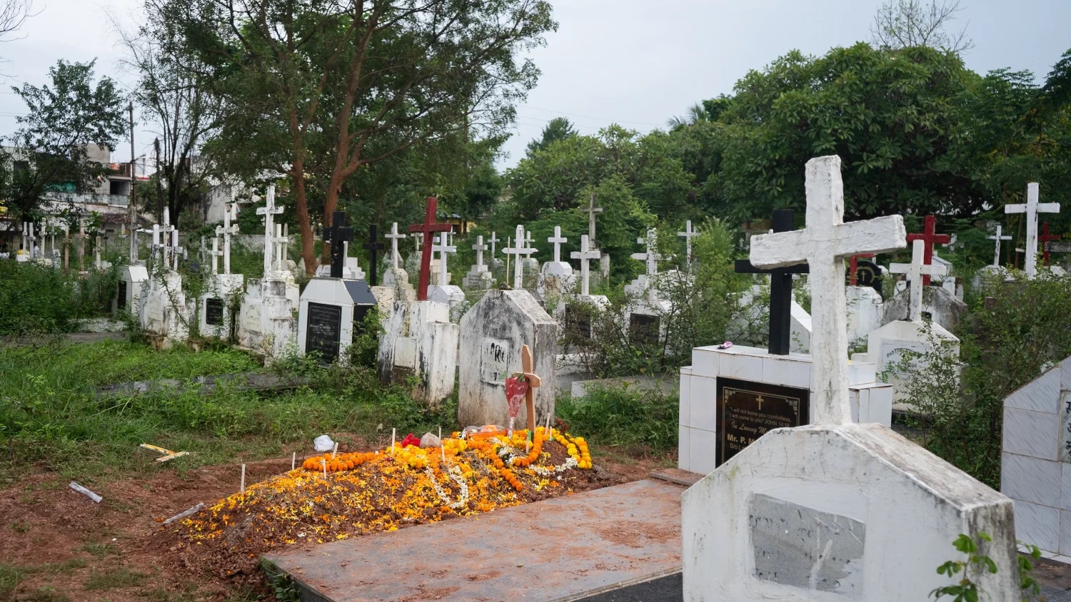 Representative Image Representative Image