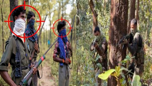 3 Maoists killed in Gadchiroli gunfight near Chhattisgarh-Maharashtra border