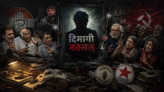 ‘दिमागी नक्सल’ शब्द से इतना डर क्यों?