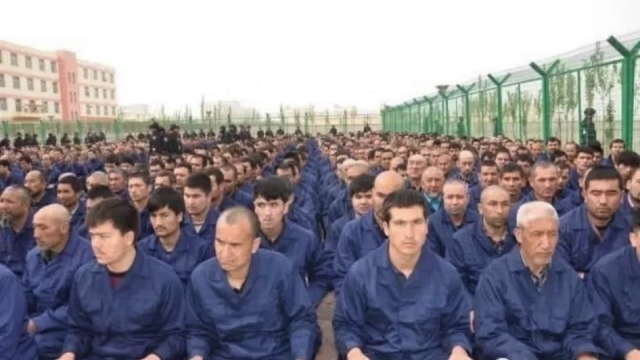 Xinjiang Abuses